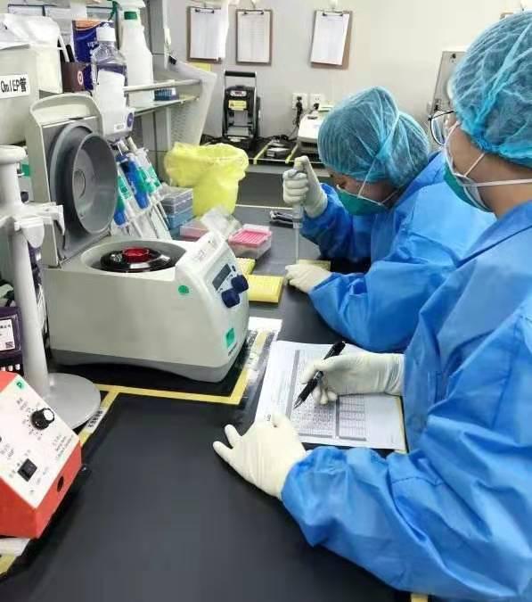 華大基因研發(fā)新冠病毒快速檢測試劑盒，3小時精準出結果